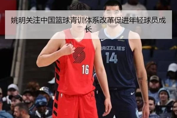 姚明关注中国篮球青训体系改革促进年轻球员成长